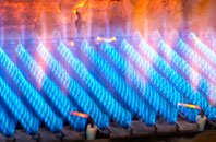 Boreley gas fired boilers